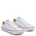 Кеди Converse All Star Ox Leather White 132173C