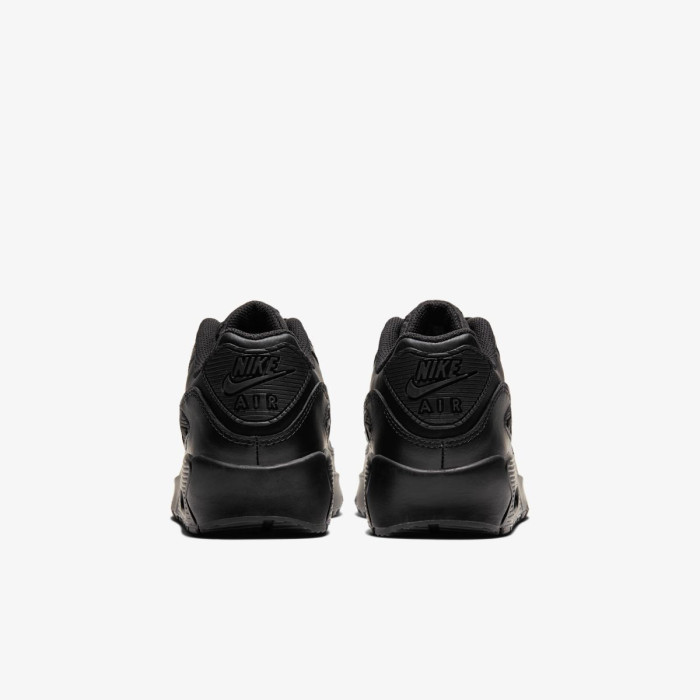 Підліткові кросівки NIKE AIR MAX 90 LTR (GS) CD6864-001