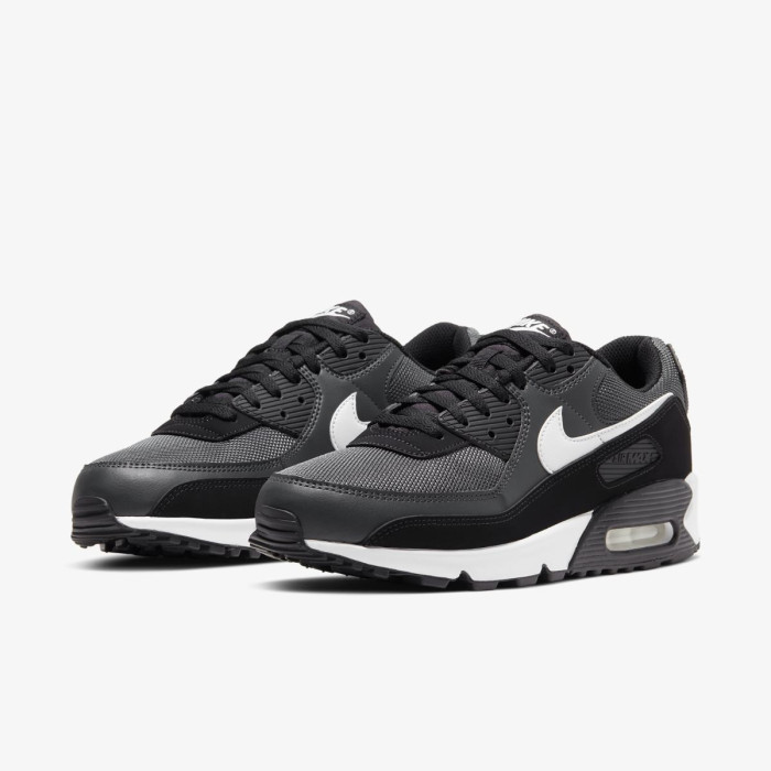 Чоловічі кросівки NIKE AIR MAX 90 CN8490-002