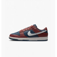 Жіночі кросівки W NIKE DUNK LOW DD1503-602