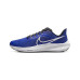 Чоловічі кросівки NIKE AIR ZOOM PEGASUS 39 DH4071-400
