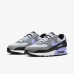 Чоловічі кросівки NIKE AIR MAX 90 DM0029-014