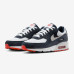 Чоловічі кросівки NIKE AIR MAX 90 DM0029-400