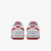 Чоловічі кросівки NIKE DUNK LOW RETRO DV0831-103