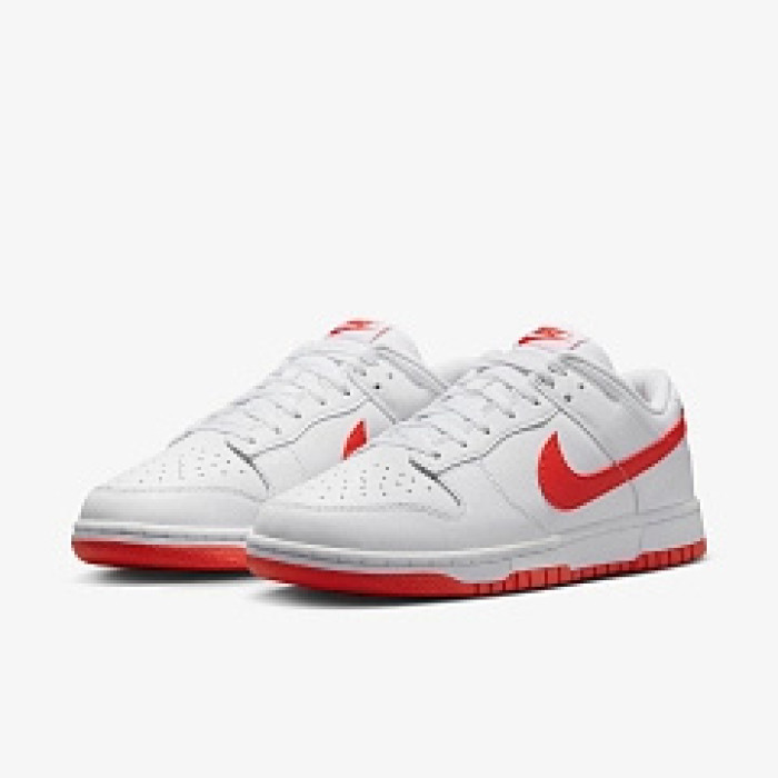 Чоловічі кросівки NIKE DUNK LOW RETRO DV0831-103