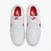 Чоловічі кросівки NIKE DUNK LOW RETRO DV0831-103
