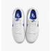 Чоловічі кросівки NIKE DUNK LOW RETRO DV0831-104