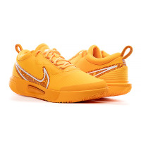 Кросівки Nike ZOOM COURT PRO CLY