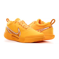 Кросівки Nike ZOOM COURT PRO CLY