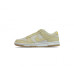 Чоловічі кросівки NIKE DUNK LOW DZ4513-200