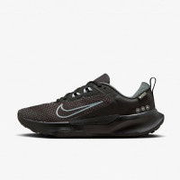 Жіночі кросівки NIKE WMNS JUNIPER TRAIL 2 GTX FB2065-001