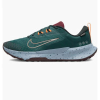 Чоловічі кросівки NIKE JUNIPER TRAIL 2 GTX FB2067-300