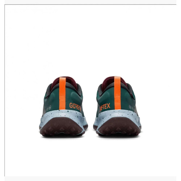 Чоловічі кросівки NIKE JUNIPER TRAIL 2 GTX FB2067-300