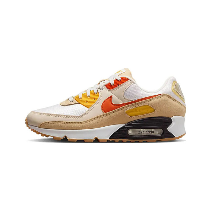 Чоловічі кросівки NIKE AIR MAX 90 SE FB4315-100