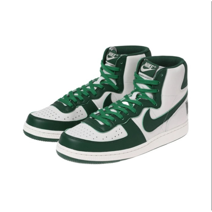 Чоловічі кросівки NIKE TERMINATOR HIGH FD0650-100