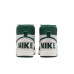Чоловічі кросівки NIKE TERMINATOR HIGH FD0650-100