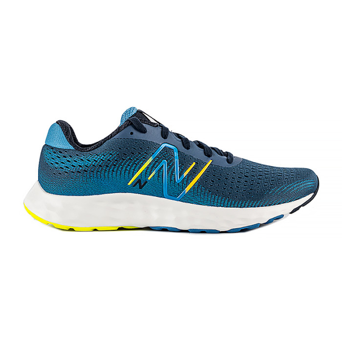 Кросівки New Balance 520 V8