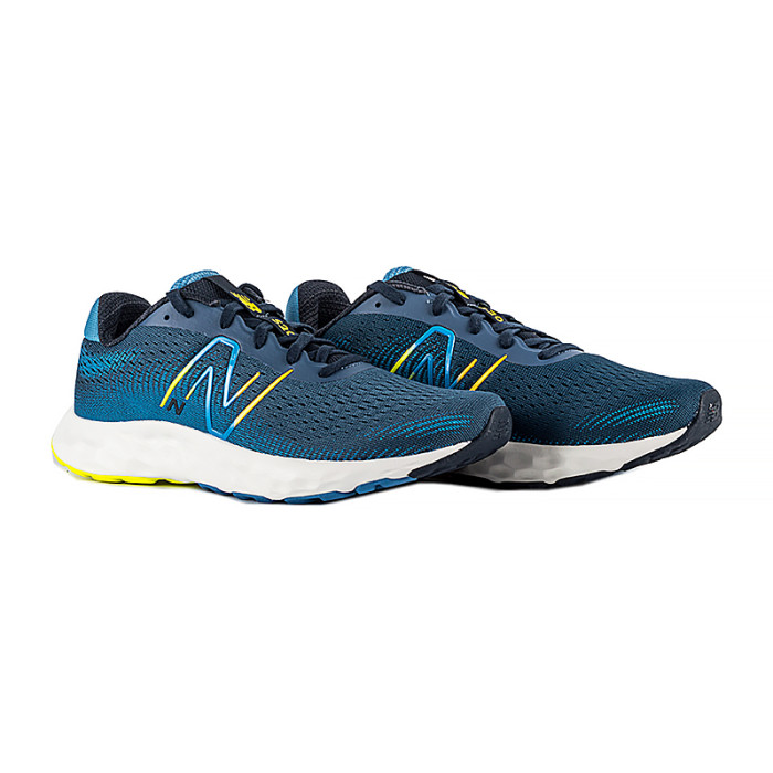 Кросівки New Balance 520 V8