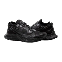 Кроссовки Nike Pegasus Trail 2 GORE-TEX