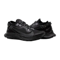 Кроссовки Nike Pegasus Trail 2 GORE-TEX