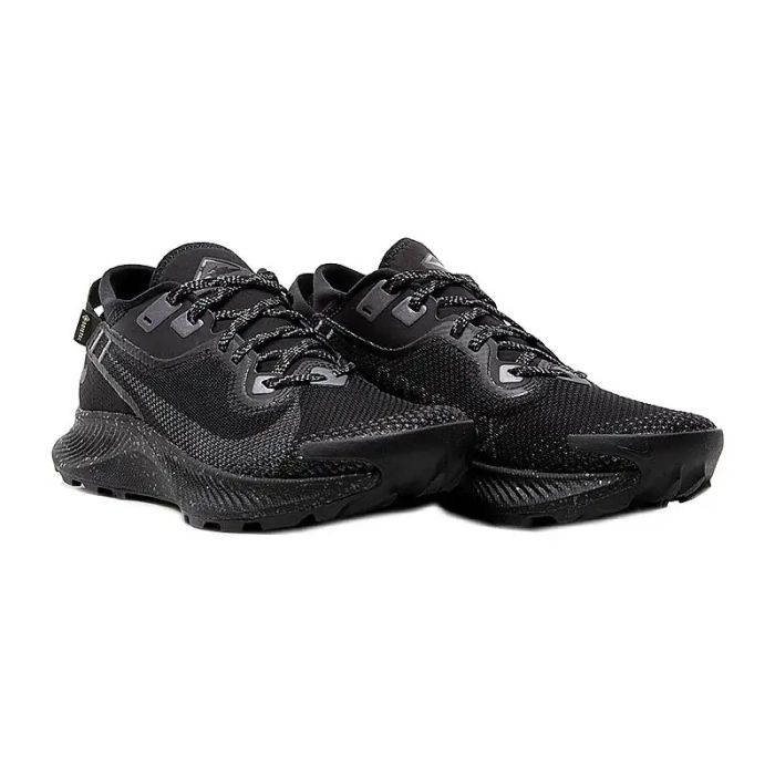 Кроссовки Nike Pegasus Trail 2 GORE-TEX