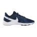 Кроссовки Nike LEGEND ESSENTIAL 2
