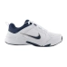 Кроссовки Nike Defy All Day