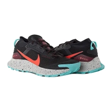Кроссовки Nike PEGASUS TRAIL 3 GTX