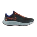 Кроссовки Nike AIR ZOOM PEGASUS 38 SHIELD