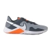 Кроссовки Nike LEGEND ESSENTIAL 2